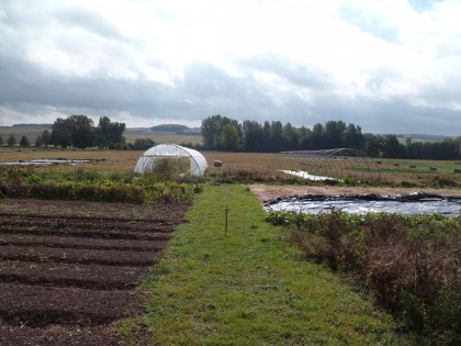 Rencontre du groupe permaculture
